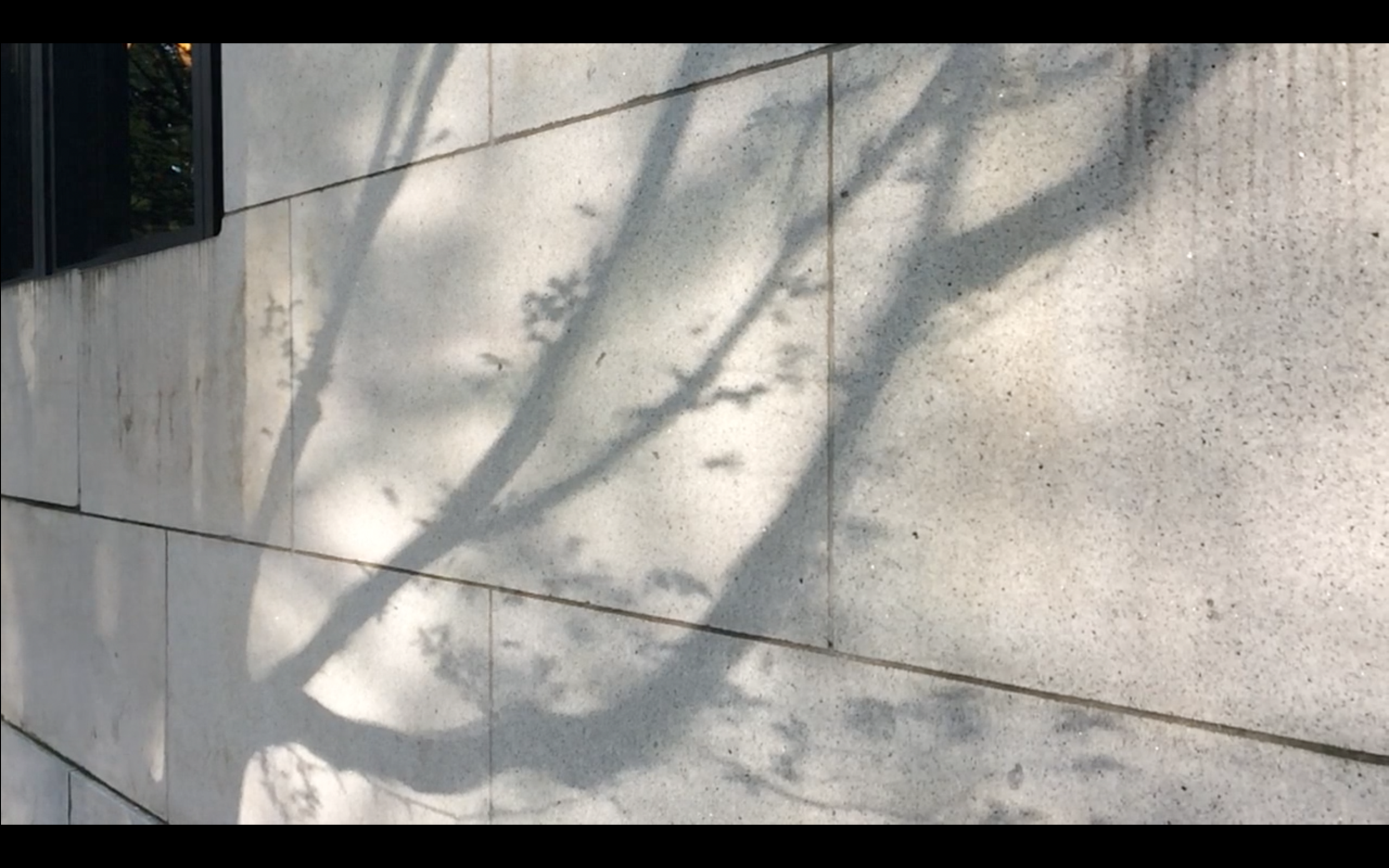 1.2.2 Mult Ct granite tree shadows.png