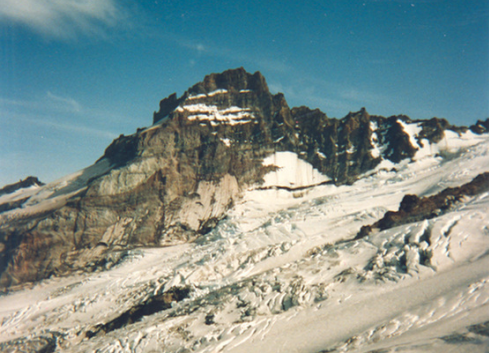 image-256.png