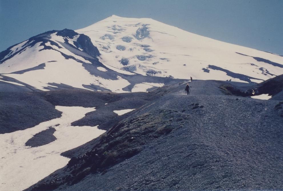 Mt. St. Helens — view to top in 1979