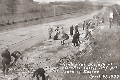 April 1938 — Goshen Fossil Leaf Pit