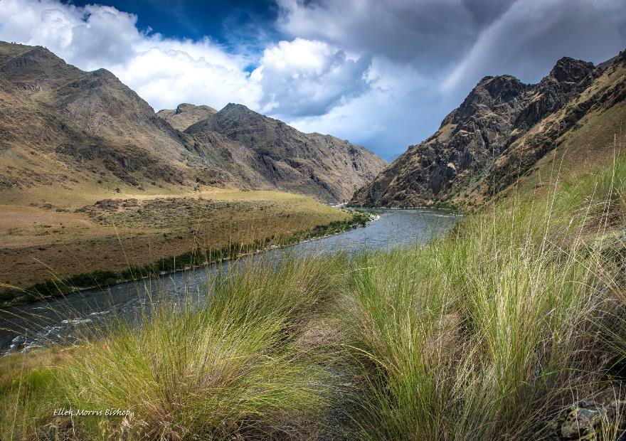 Gravel bar dumped in Hells Canyon by the flood created by Ice Age Lake Bonneville. Photo by Ellen Morris Bishop.