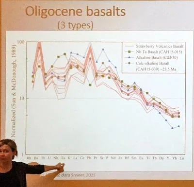 Cahoon explains the geochemical analysis results for the Strawberry Mountain volcanics in comparison to standard basalt types.