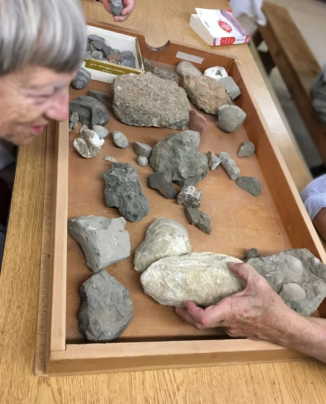 Nancy Overpeck inspects one of the fossils in the lab. Photo by author.