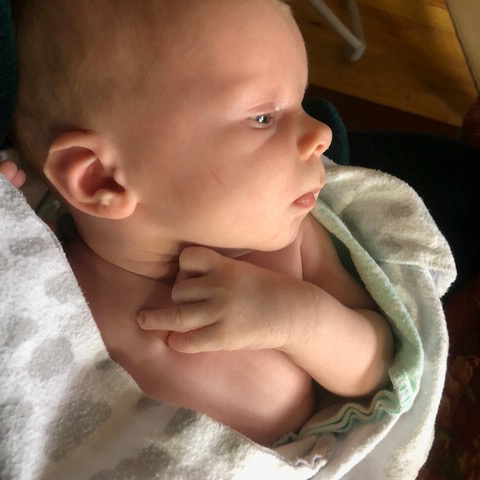 Our board member Megan Faust has a family membership, so Sebastian will automatically receive our newsletter!