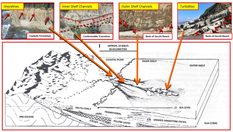 Image description: Depositional model for shelf-slope transport. A refinement of the model from Chan and Dott 1986. Source: John Armentrout and the Coaledo Project team.