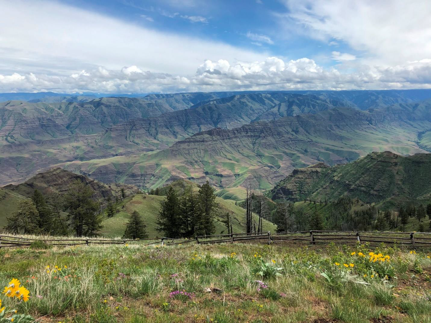 I’ll begin this article with a picture of the Buckhorn Overlook taken on May 18, 2019, when Evelyn Bennett, Julia Lanning and I did the reconnaissance for the Wallowa trip. 