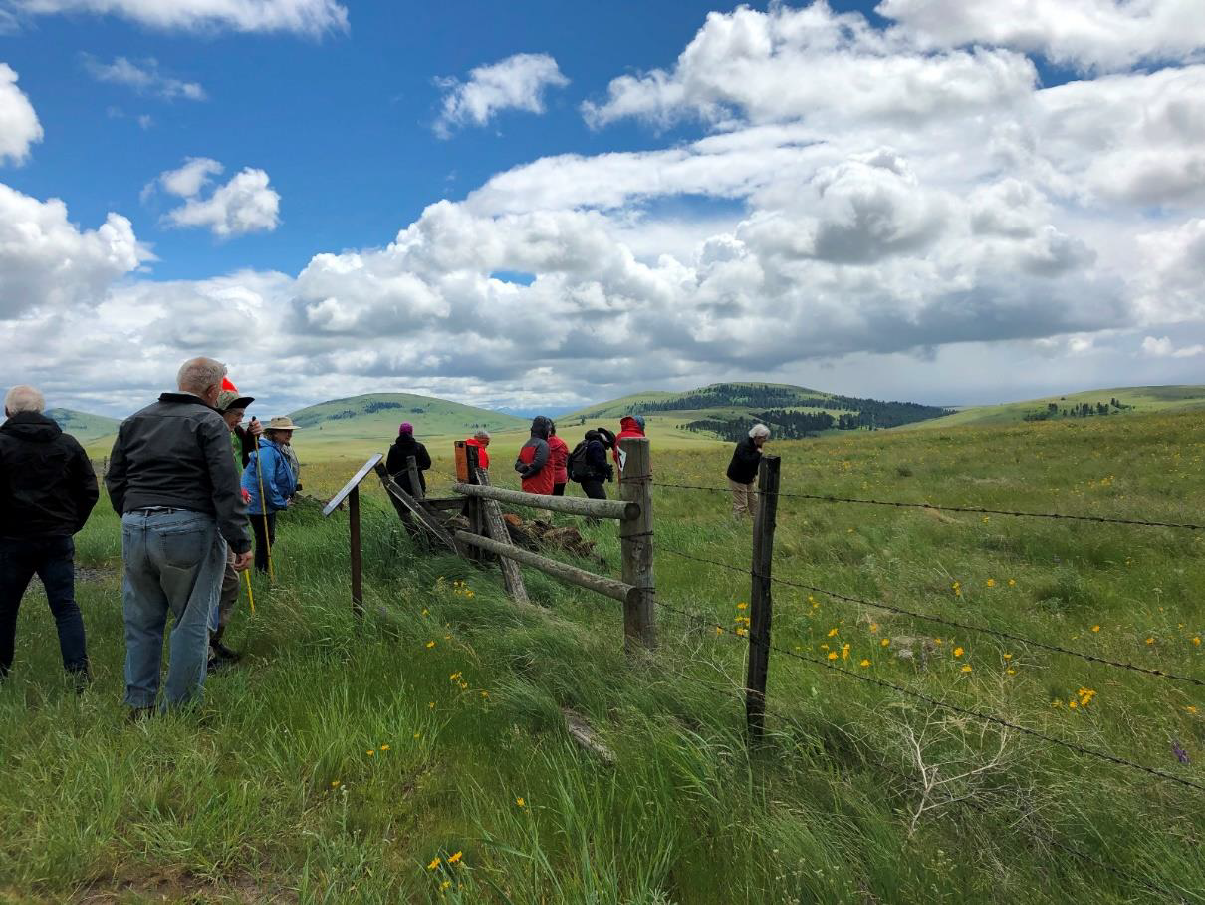 On the way to Buckhorn the most prominent features in Zumwalt prairie are the Findley Buttes shown in the background of this shot taken at the Nature Conservancy Horned Lark trailhead.