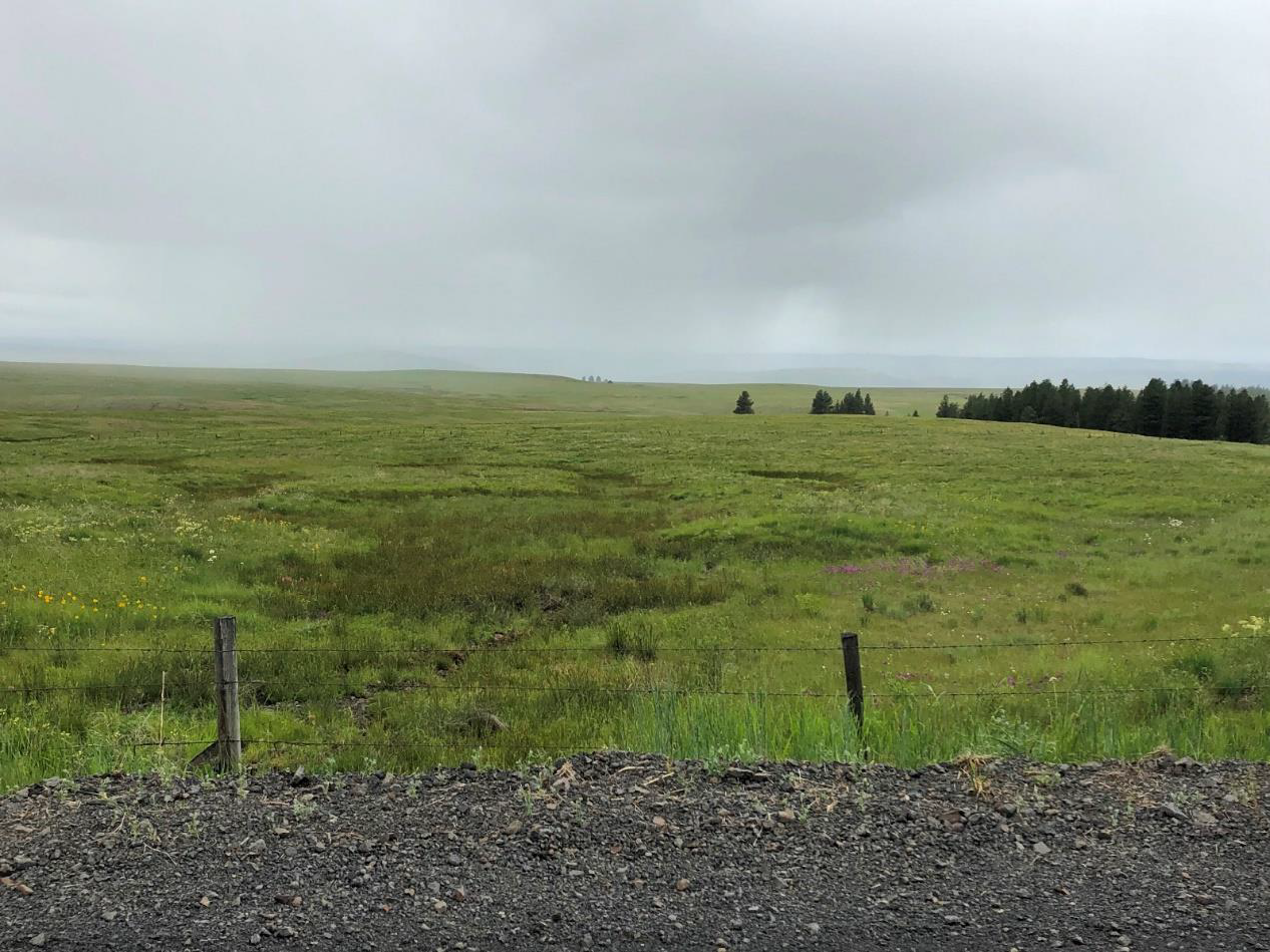 Along the Zumwalt Prairie we also encountered a patchwork of low mounds with rocky drainages between them. 