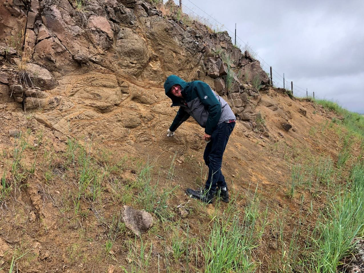 In a couple of roadcuts the Grande Ronde basalt could be spotted on the prairie. Charlie Raymond poses by one of these.