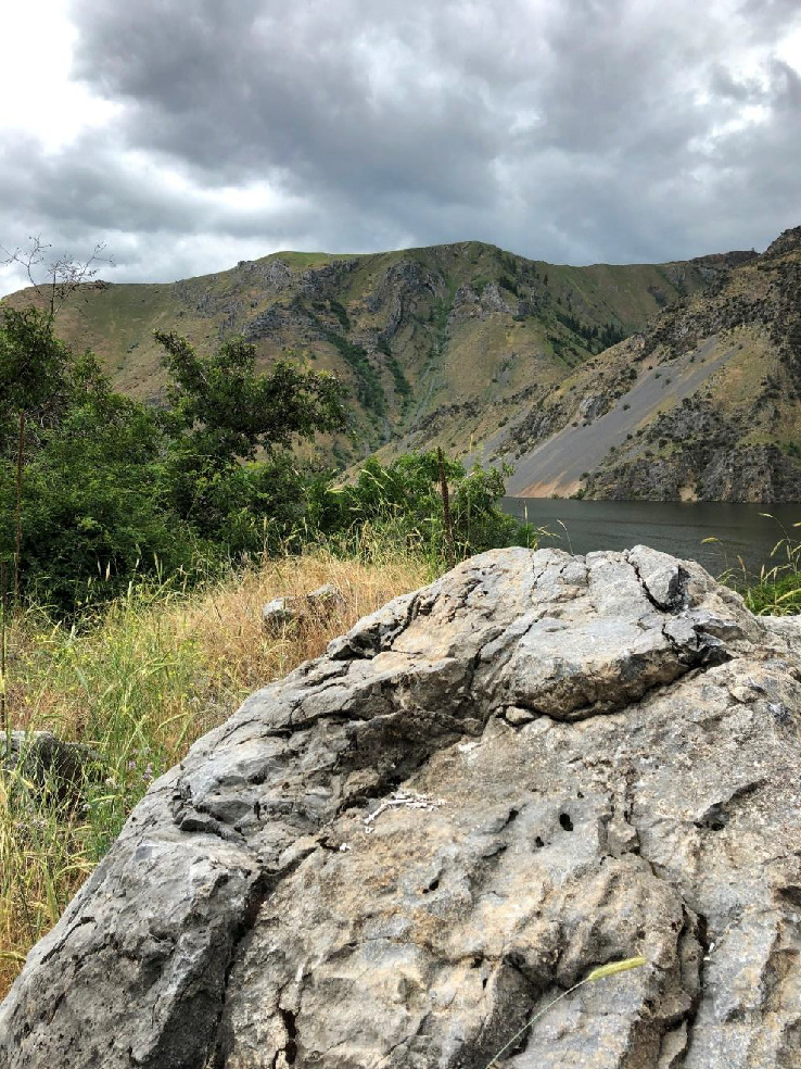 At the third stop we could also look across the Snake River to view some swirling strata of the Martin Bridge Formation on the Oregon side.