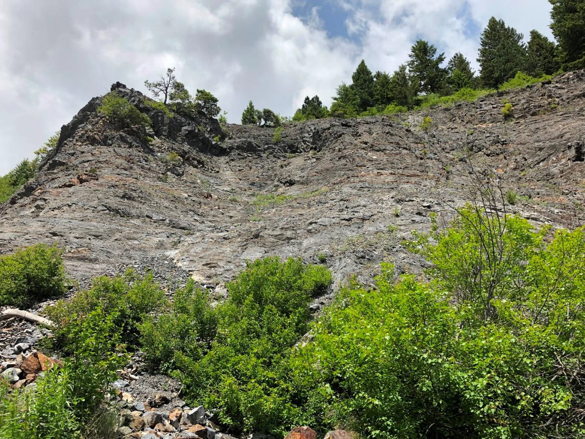 We were rewarded at the top of the Falls Creek path with this outstanding outcrop of Martin Bridge marble (and also the falls, not in the picture).