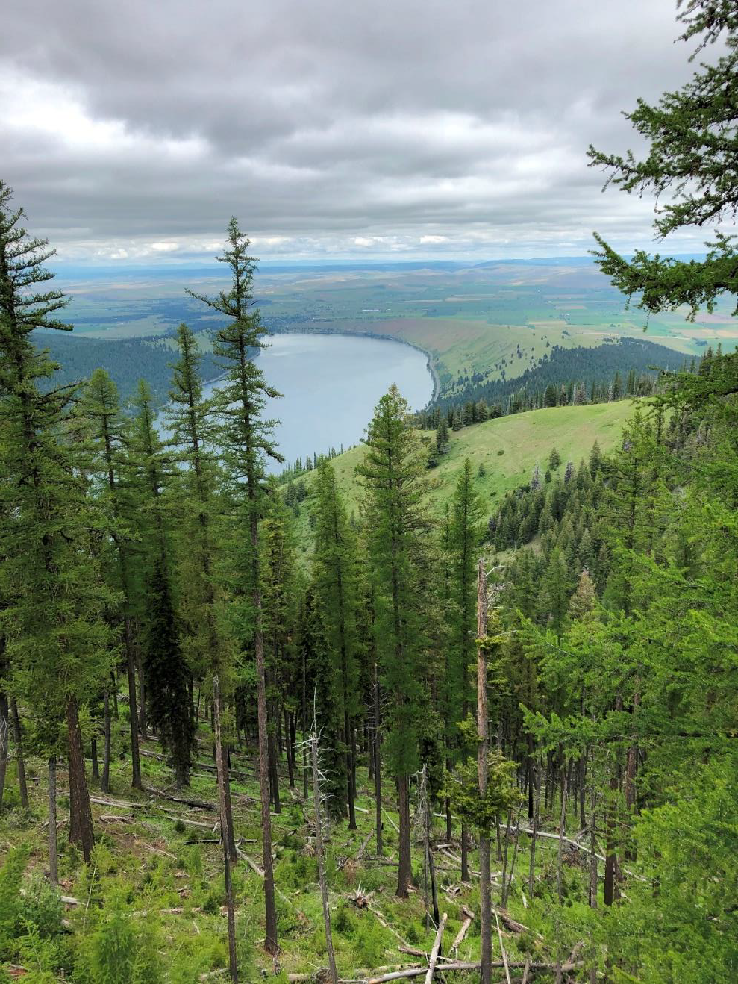 Heading up the Wallawa Lake Tramway, one gets fabulous views of Wallowa lake and the lateral moraines which enclose it like great arms coming from the mountains.
