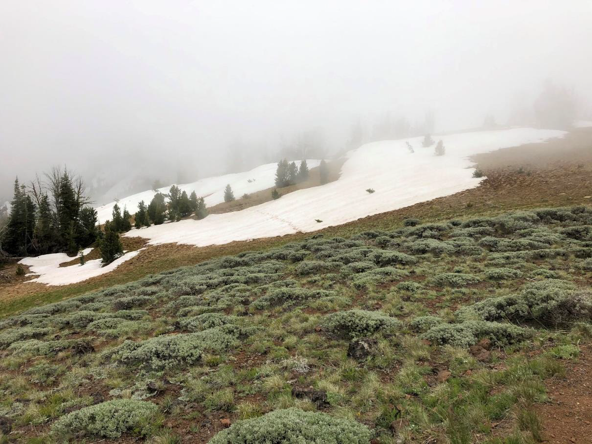 The view at the top of Mt. Howard was not quite as spectacular on this day.