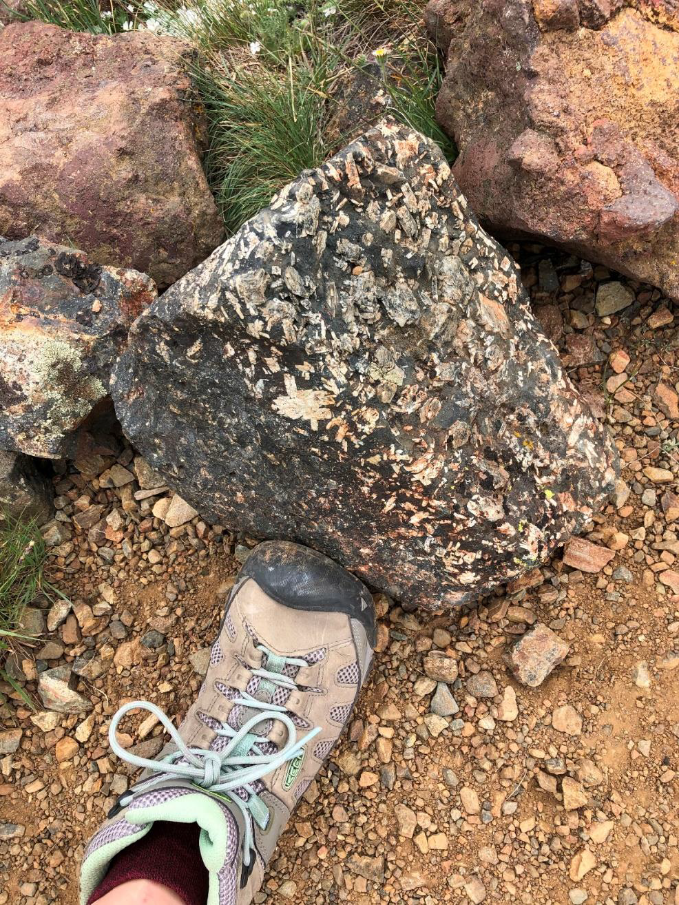 Nevertheless Kitty Reed and I located ‘Bev’s favorite basalt’ as described to me by Larry Purchase.