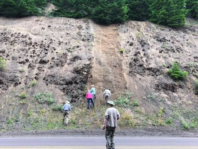 GSOCers swarm over to the gabbro dike at the base of Marys Peak. The surrounding rock is the Siletz River Volcanics.
