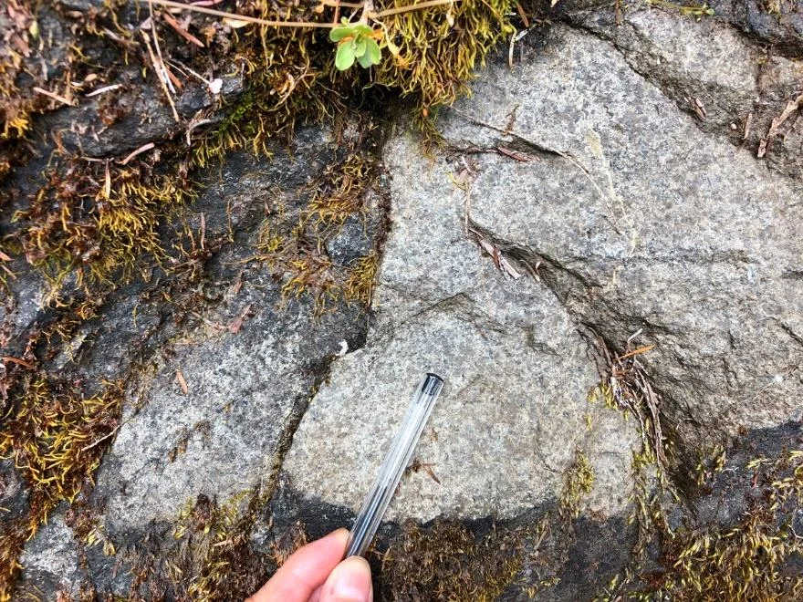 Gabbro has the same composition as basalt but with a intrusive phaneritic texture.