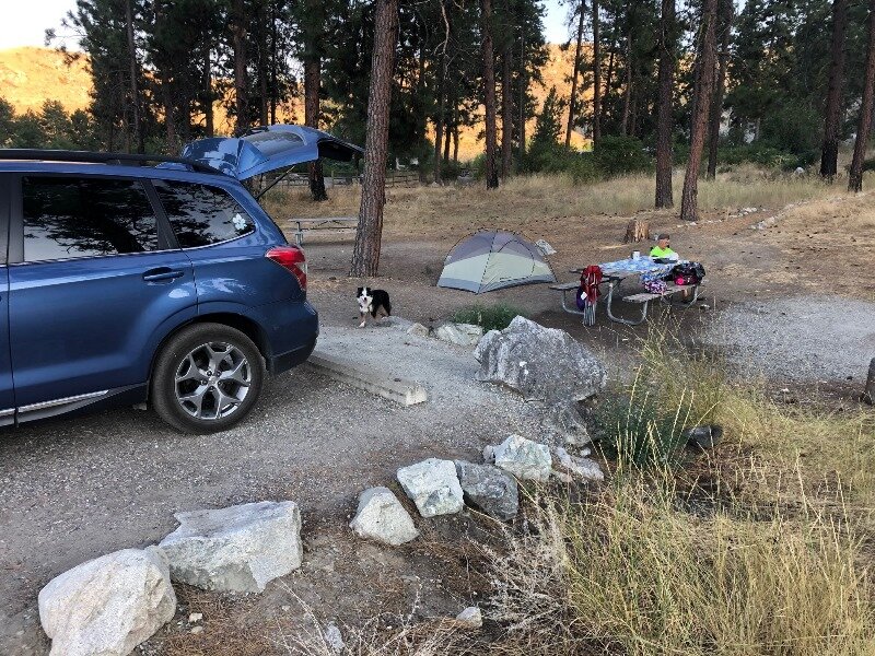 Our campsite in the Ponderosa Pines at Alta Lake.  The alpenglow lights up the enclosing hills to the east. 