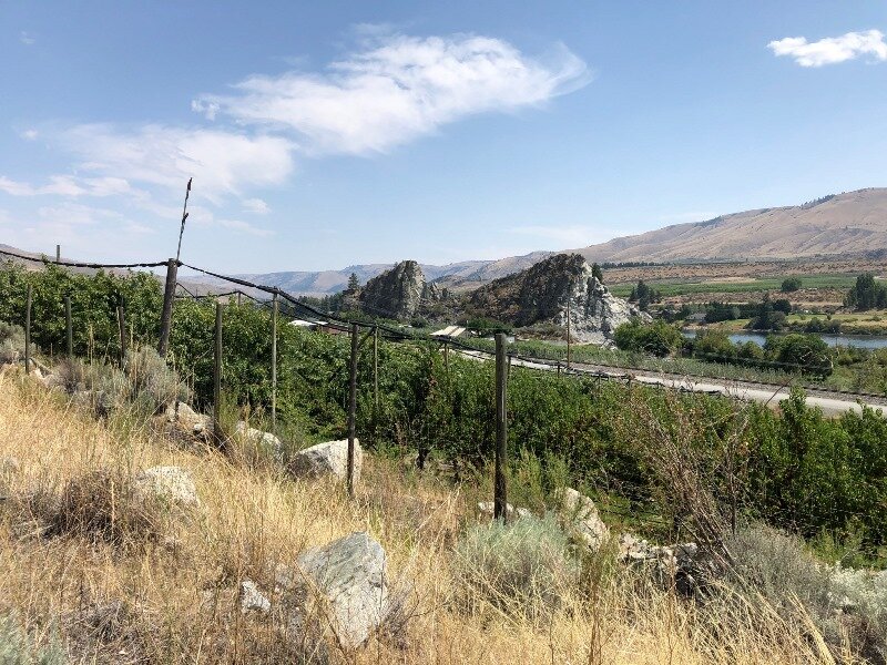  I have not seen a description of these rocks in my references but they appear to be slump blocks or glacial droppings of migmatite. They were located near the outlet of Knapp Coulee which takes you up to Chelan. 