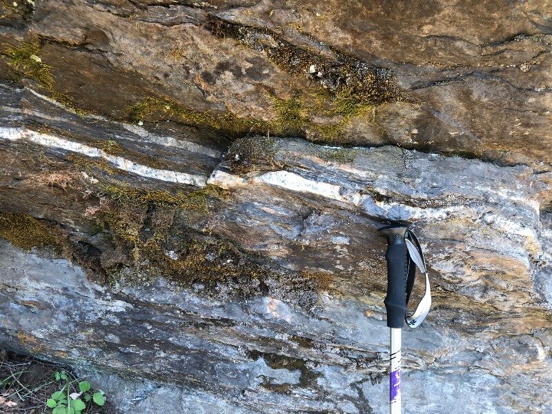  The Chiwaukum Schist is “cut by dikes and sills of light’colored biotite tonalite and pegmatite.” 