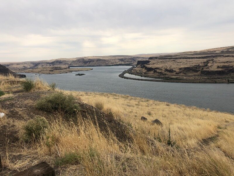  Looking southeast from Wishram Heights 