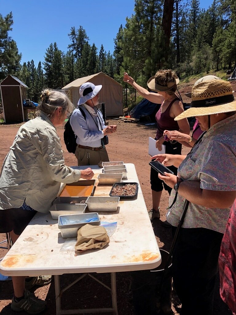  GSOC participants looking through the gem quality stones 