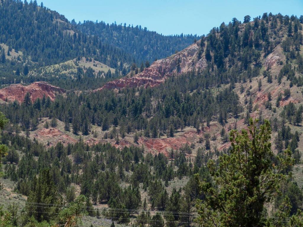  A landslide on a John Day formation slip surface 