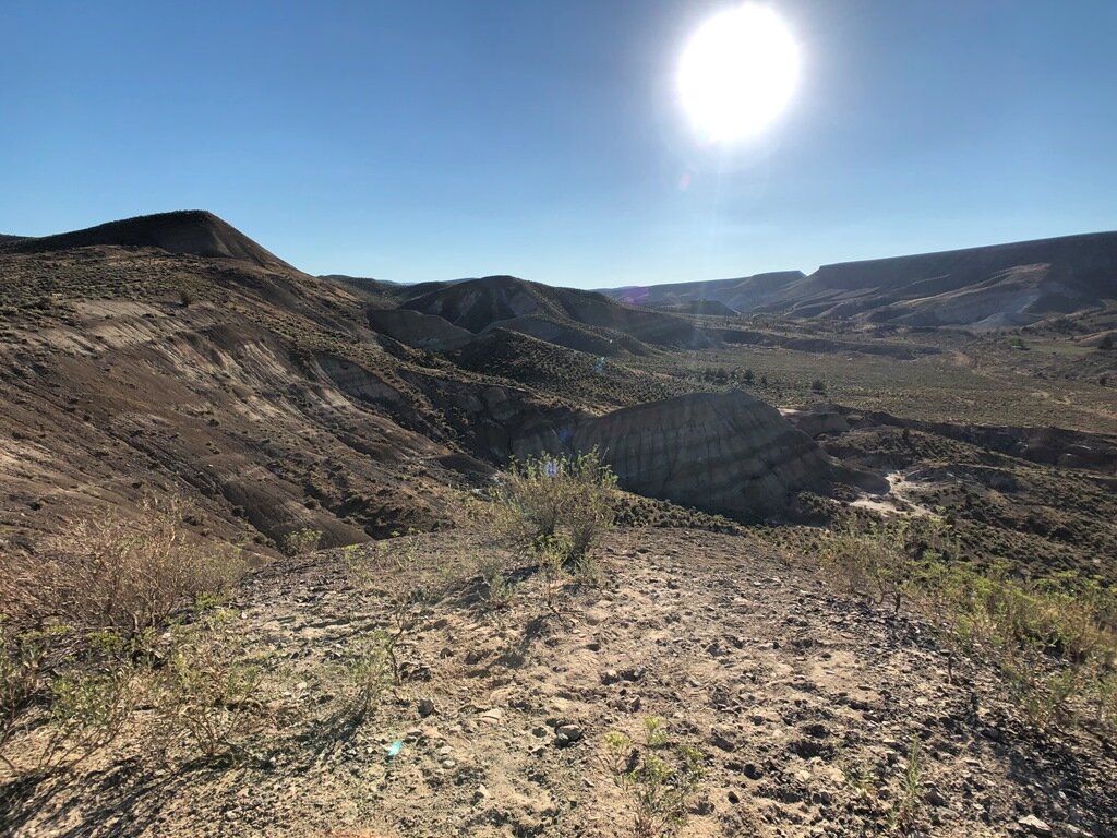  Mascall formation strata in the blazing sun near Dayville 