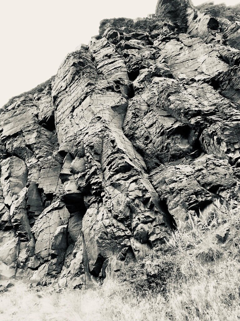  An artsy shot of the basalt in Picture Gorge - how many faces can you see in the rock forms? 