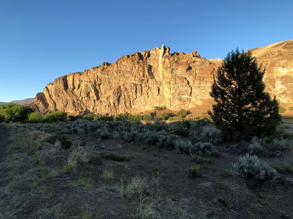  Goose Rock, a Cretaceous conglomerate, in the evening light 