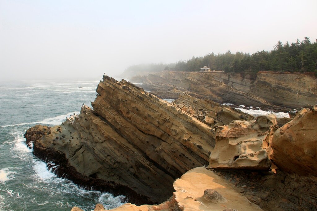 Recap of the Coaledo Formation Field Trip 