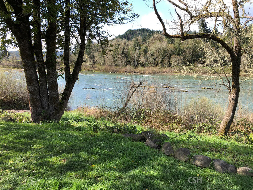  The Umpqua River in Elkton during April 2021. 