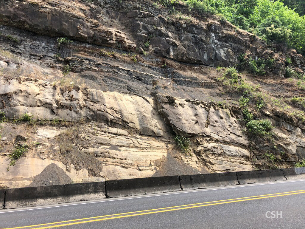  A passed roadcut of Tyee formation on our way to “the notch” area. 