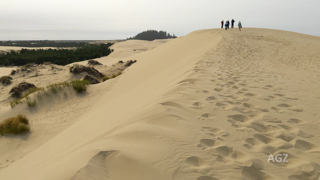  The group climbs up the back of the big dune at Dellenback Trail. 