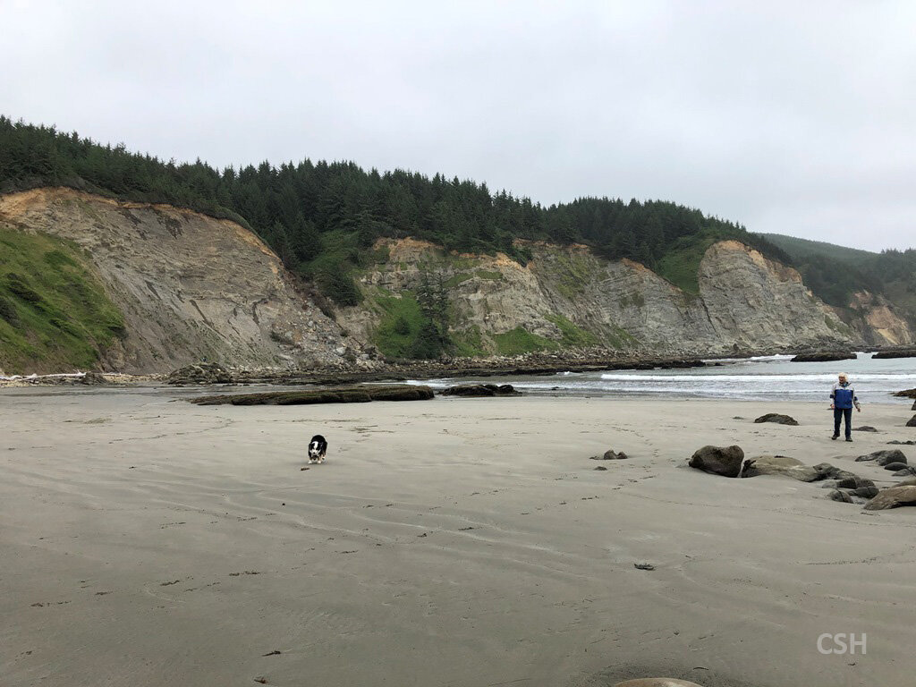  We didn’t go down to South Cove on this trip, but Sue and I went there spring 2020. My dog Lucy is shown for scale. 