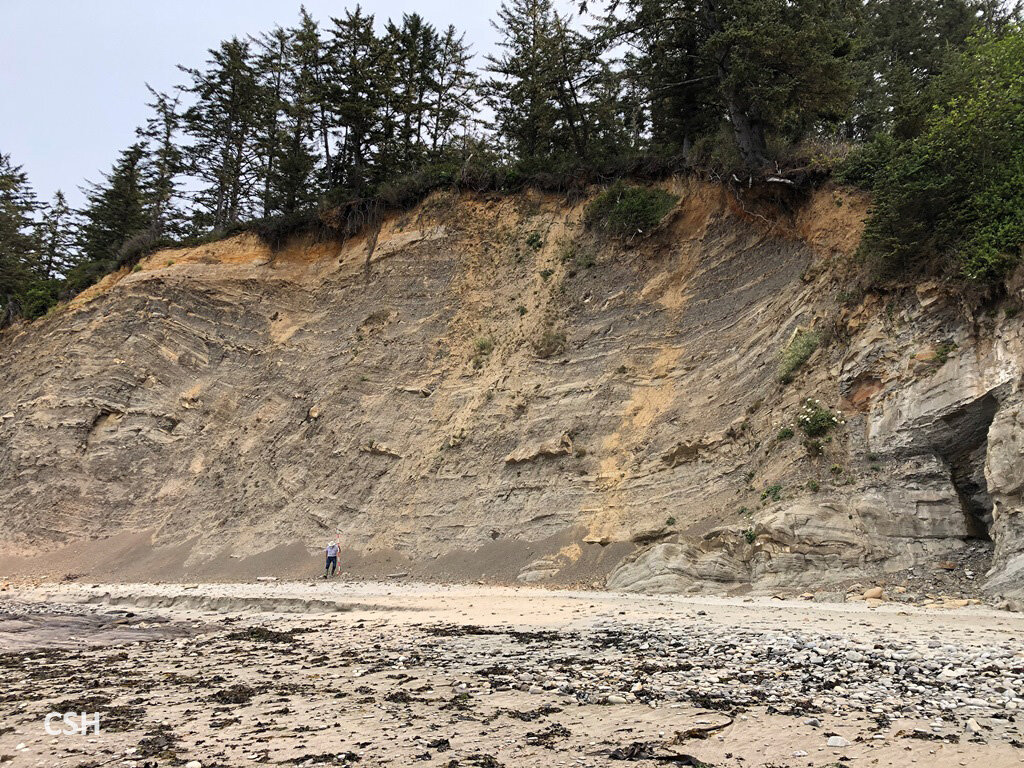  This huge channel probably transported a lot of mud. Oil geologists would look for oil deposits where the channel transported all the mud. John stands there for scale. 