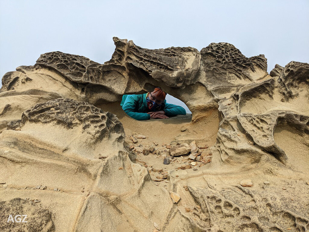  This picture of Shelly shows off the honeycomb weathering that is very characteristic of rock exposed to salt spray. 