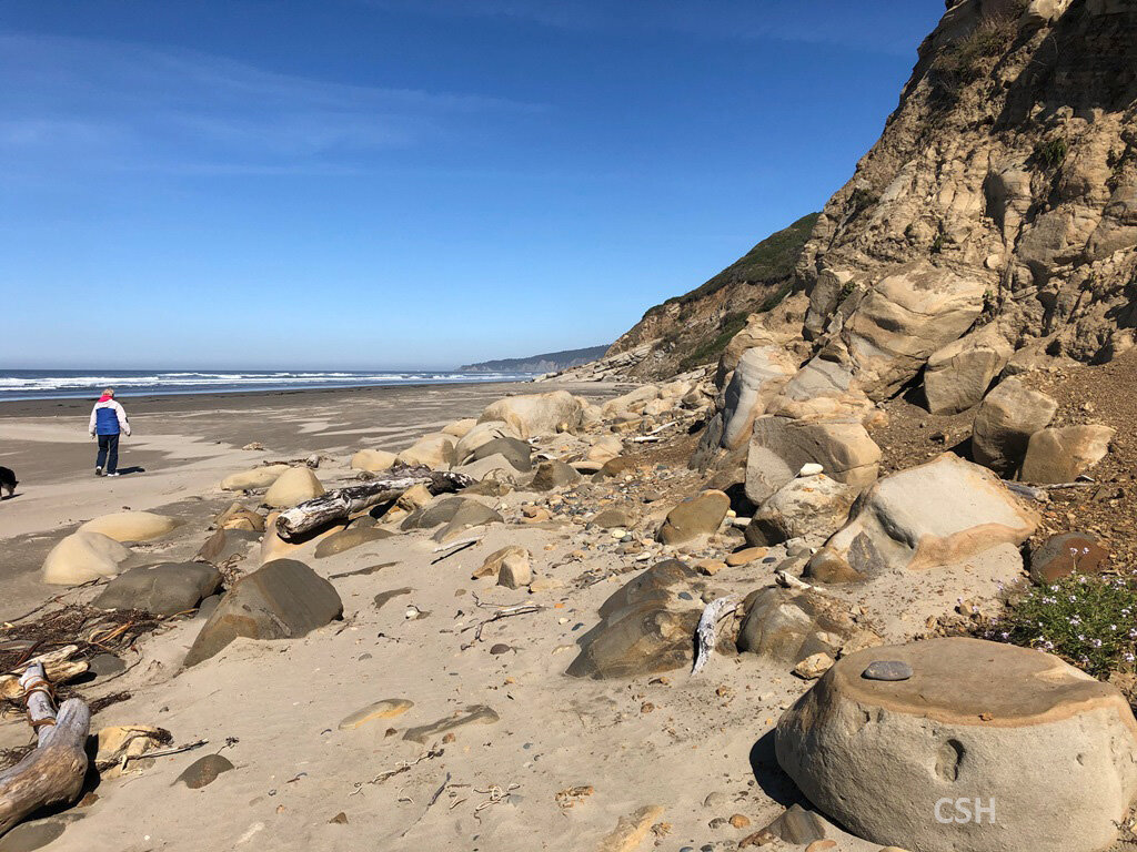  The next few slides are from a reconnaissance trip by Carol, Sue, and Lucy in October 2019 to Sacchi Beach. We parked in the Seven Devils Recreation area and hit the beach on this beautiful day. 