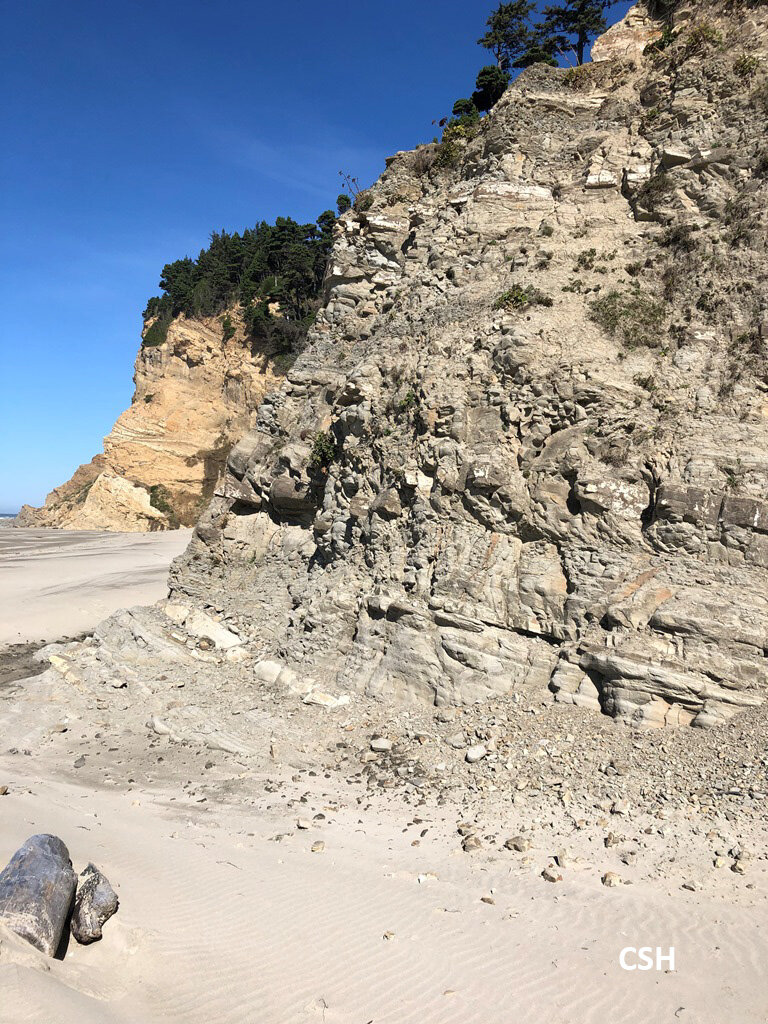  This bluff was composed mostly of mudstone layering. 