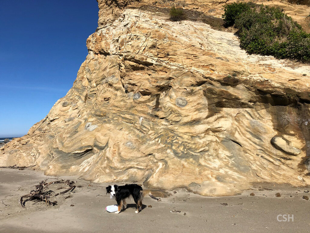  Amalgamated channeling? Instability? in the cliff base at the south end of the Cape Arago headland. 