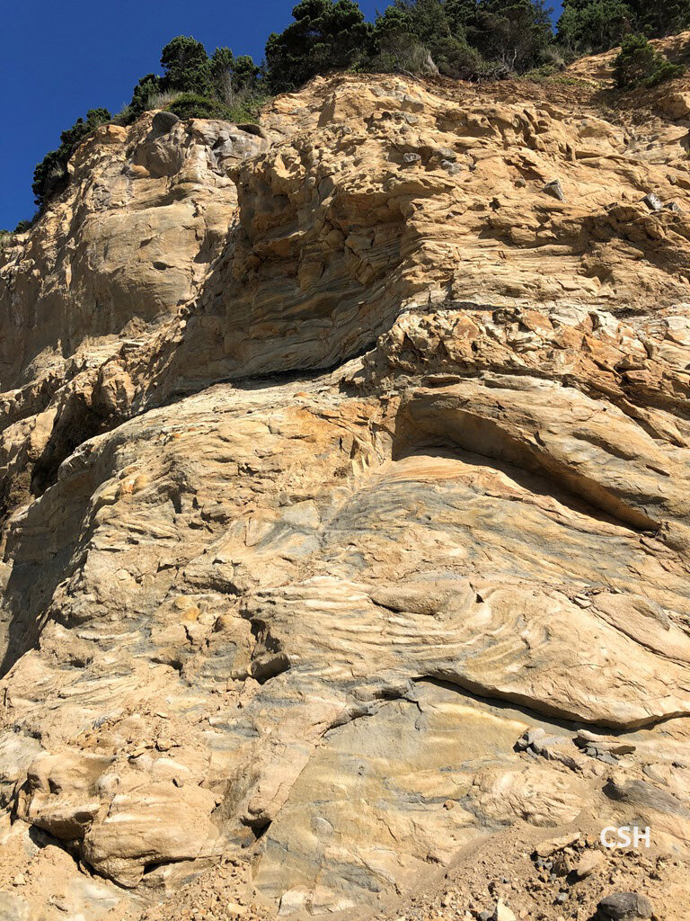  A glimpse of the Beds of Sacchi Beach as you look up the cliff. 