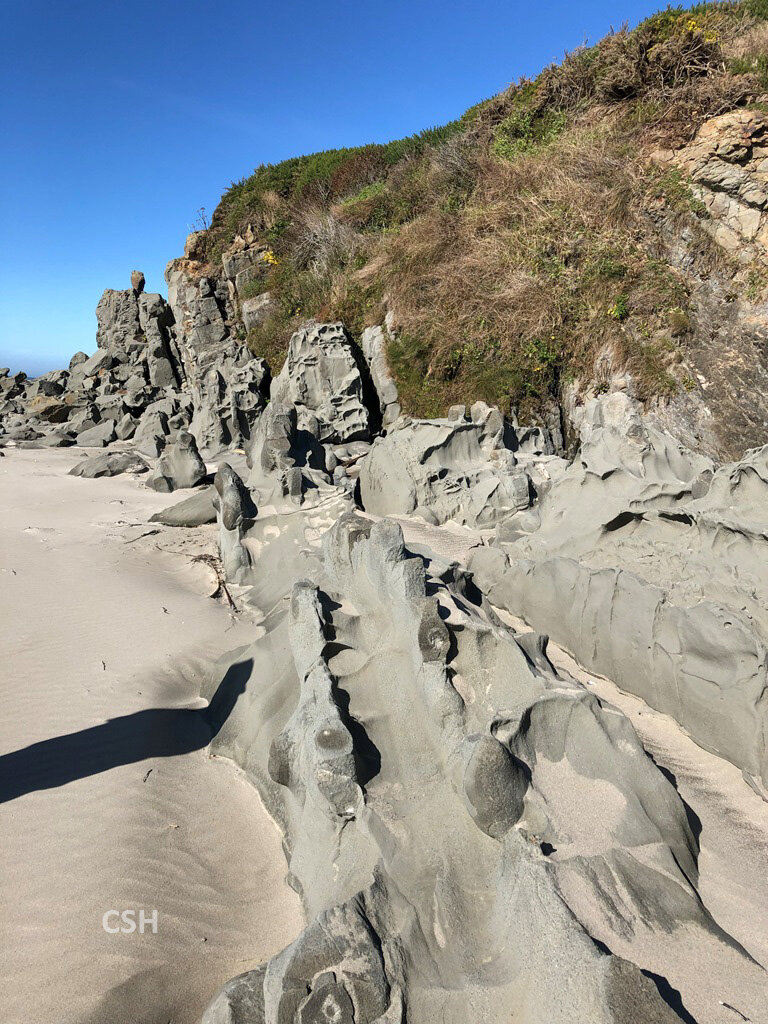  We also took a short drive that day down to Whiskey Run Beach, where we could access Fivemile Point. Here’s some shots of the turbidites there. 
