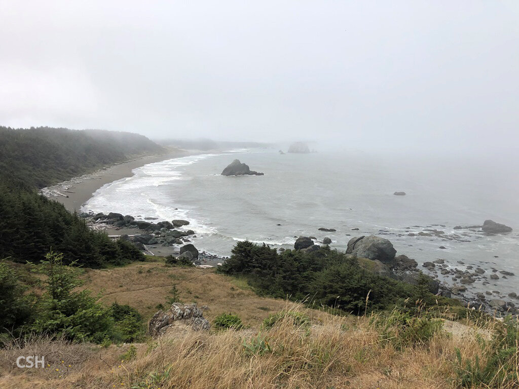  View from the top of the bluff looking south to Cape Blanco. 