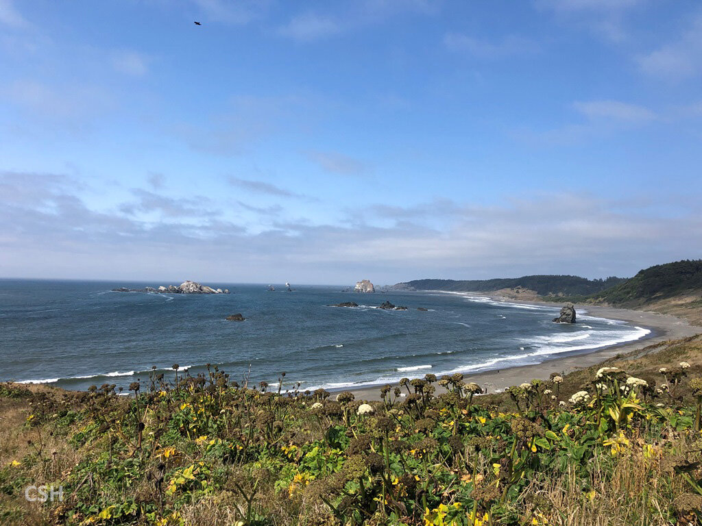  Looking northward to Blacklock Point from Cape Blanco. 