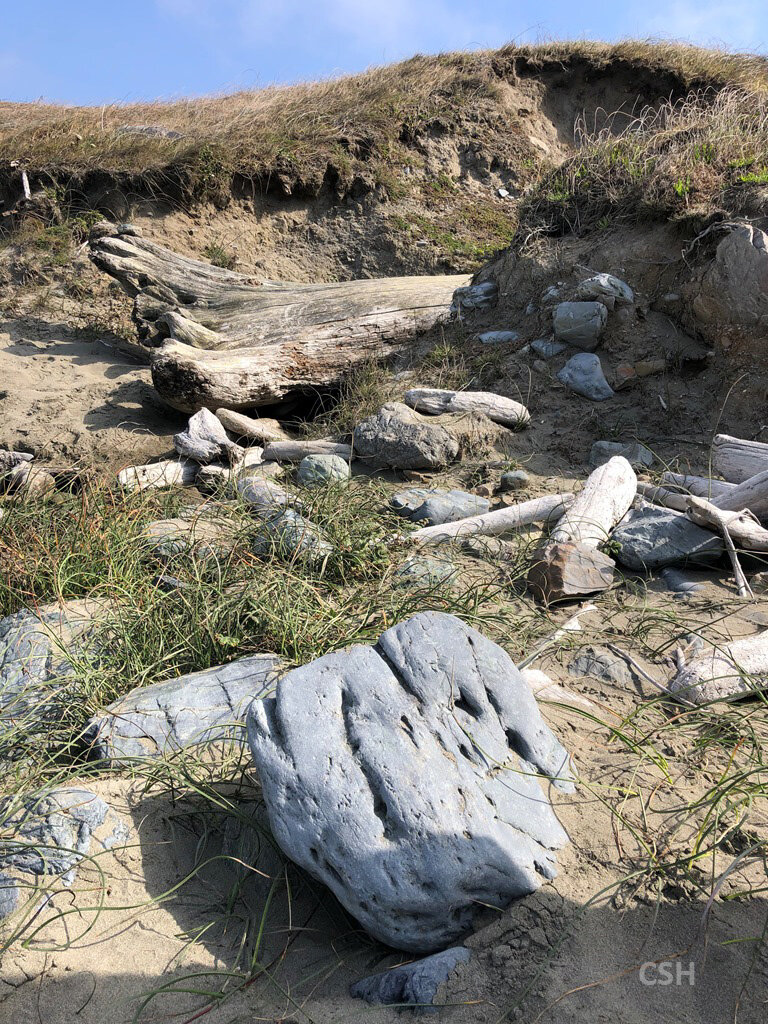  Blueschist boulders spill down a wash in the Cape Blanco hillside. 