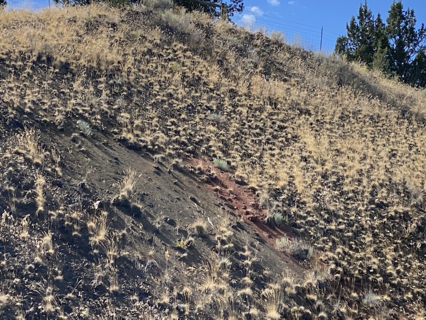  Next, we stopped along Hwy 26 for a rare, although somewhat unimpressive, exposure of the John Day fault which controls the morphology of the John Day valley. The fault line is evident where the red rock abuts the black rock. 