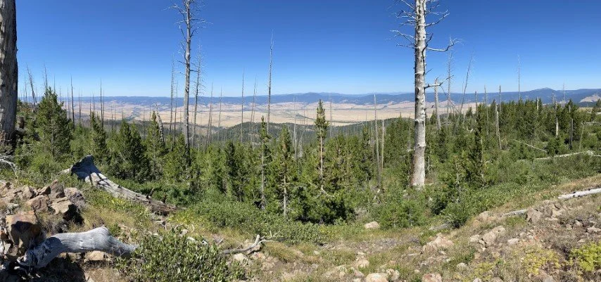  Another 1.25 miles up the trail took us to a beautiful overlook of the John Day valley to north. 