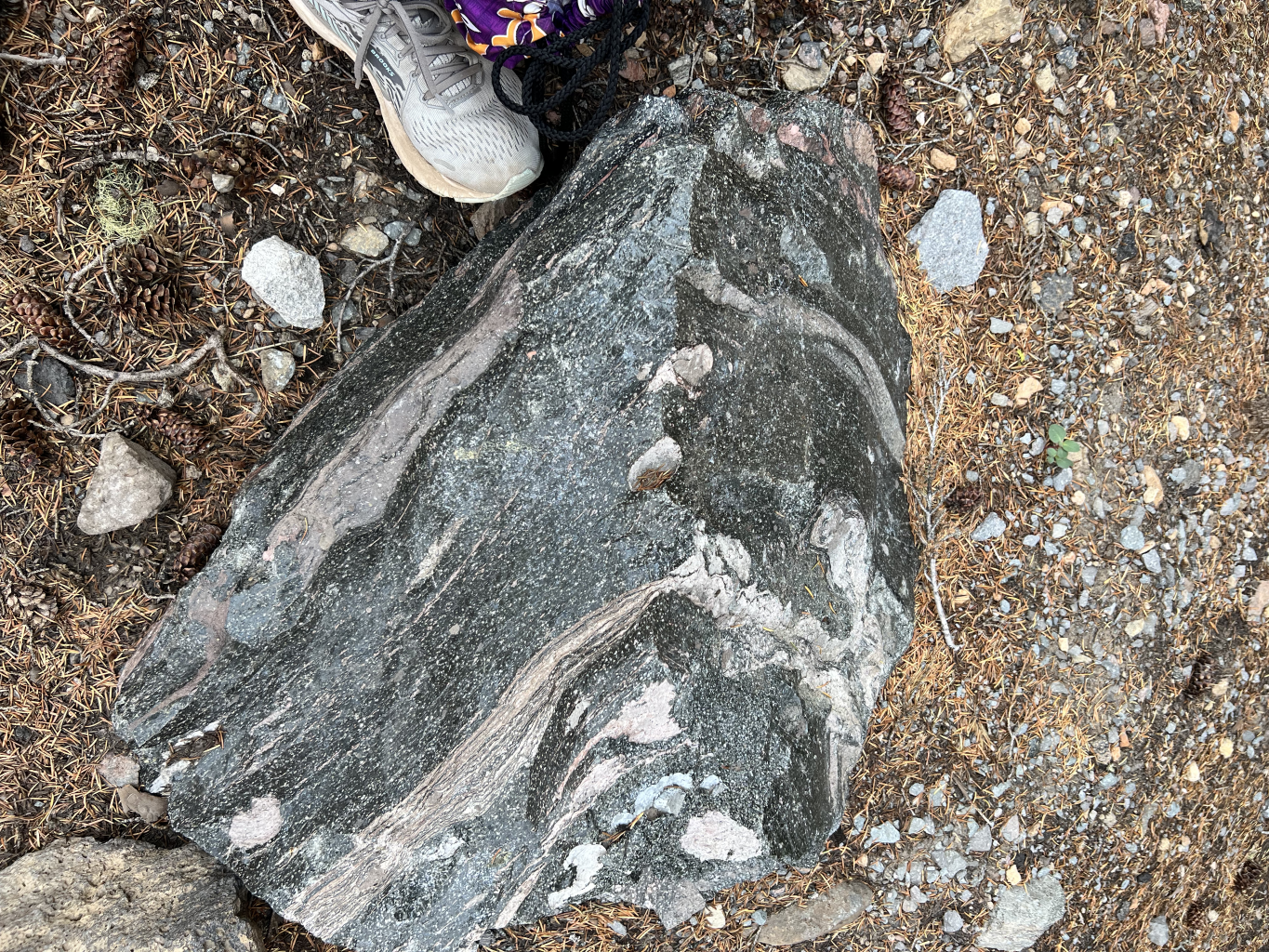  A close up of a beautiful obsidian boulder at Stop 8. This was produced by the Llao Rock eruption. 