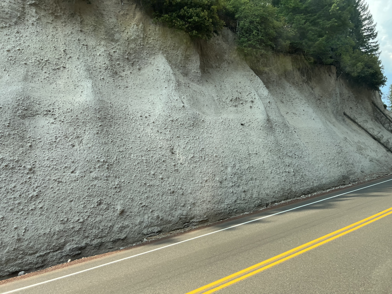  On the way back to Diamond Lake from the Rogue River Gorge, we see a fine roadcut of Mazama Ash. 