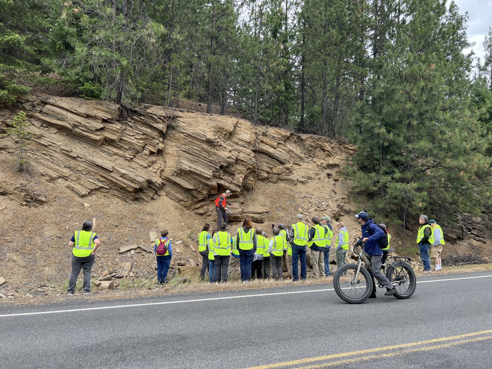 Day 1 - Stop 1.6 on Cougar Gulch Rd.