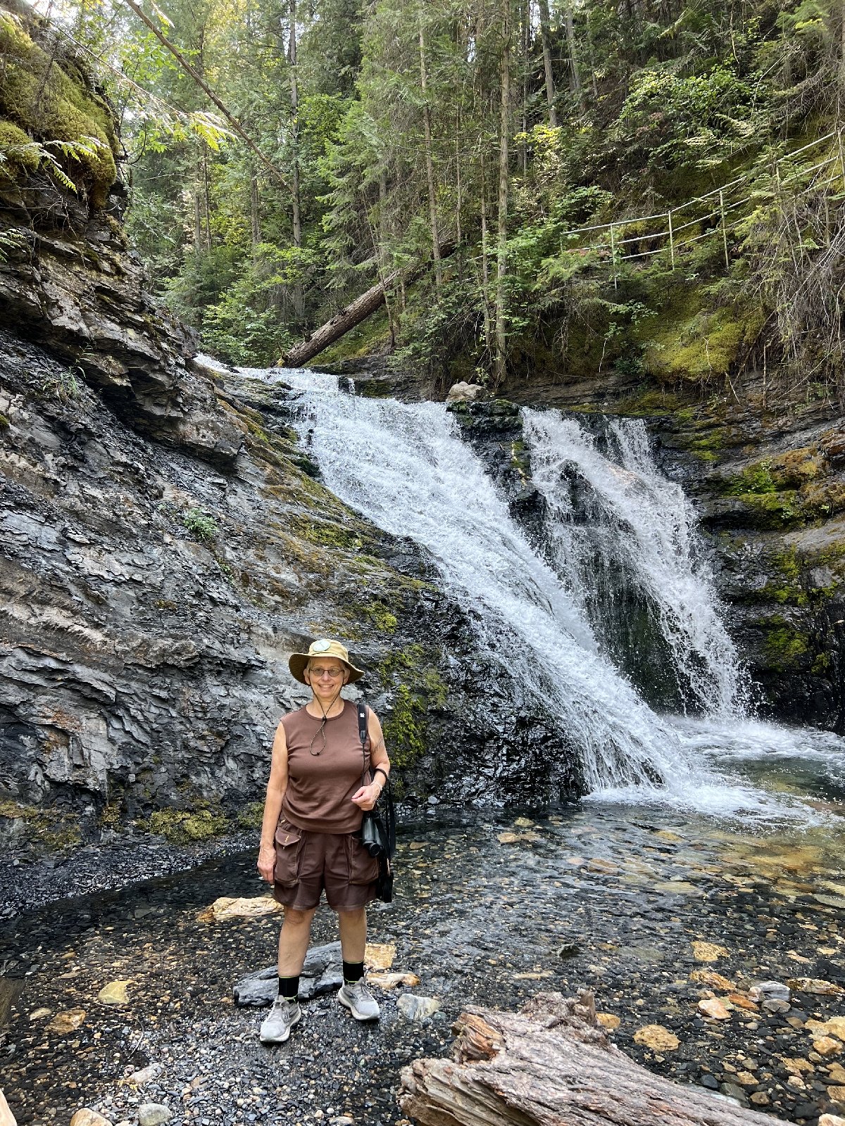 Day 3 - Stop 3.2 Sweet Creek Falls